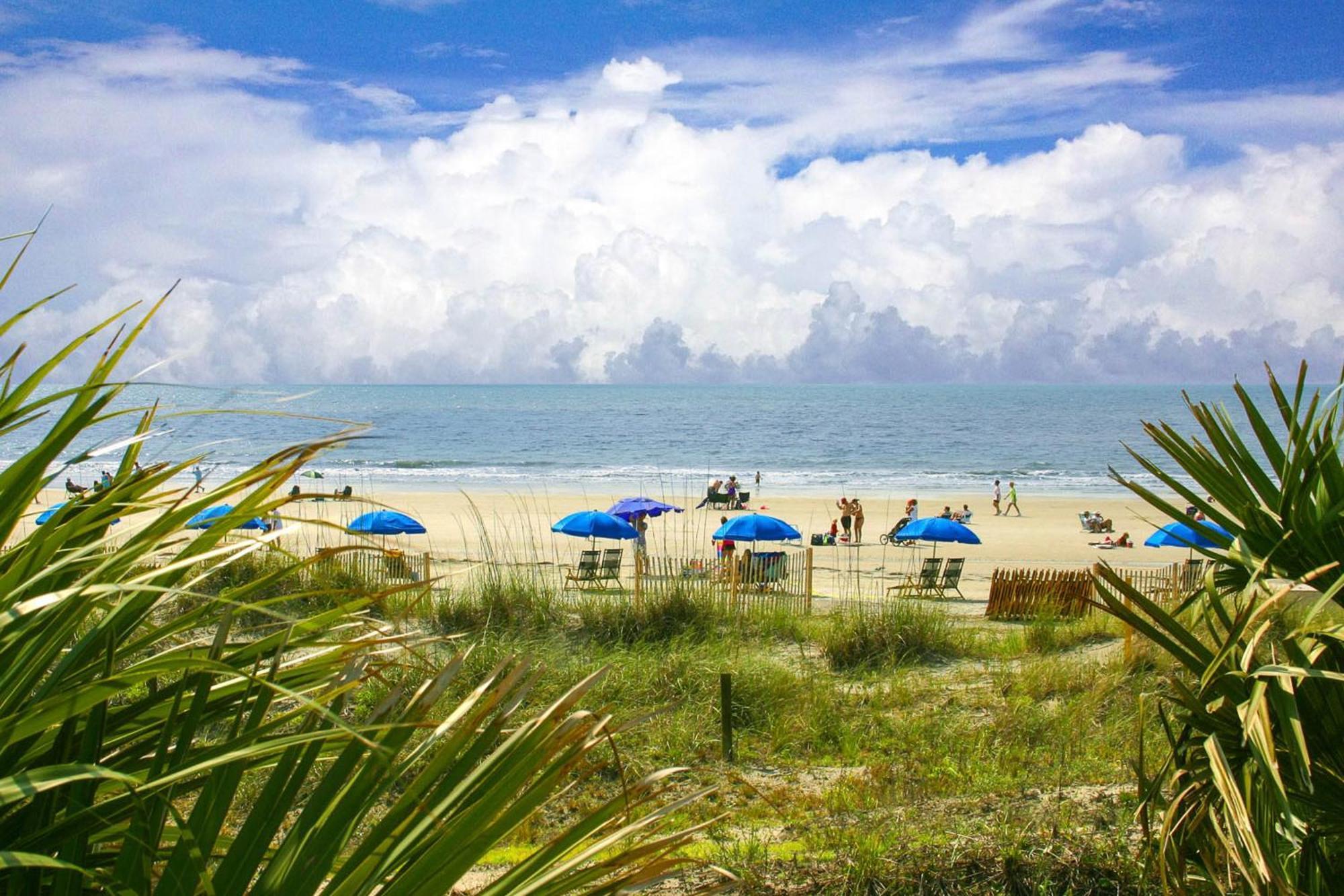 St Andrews Common 1780 Hilton Head Island